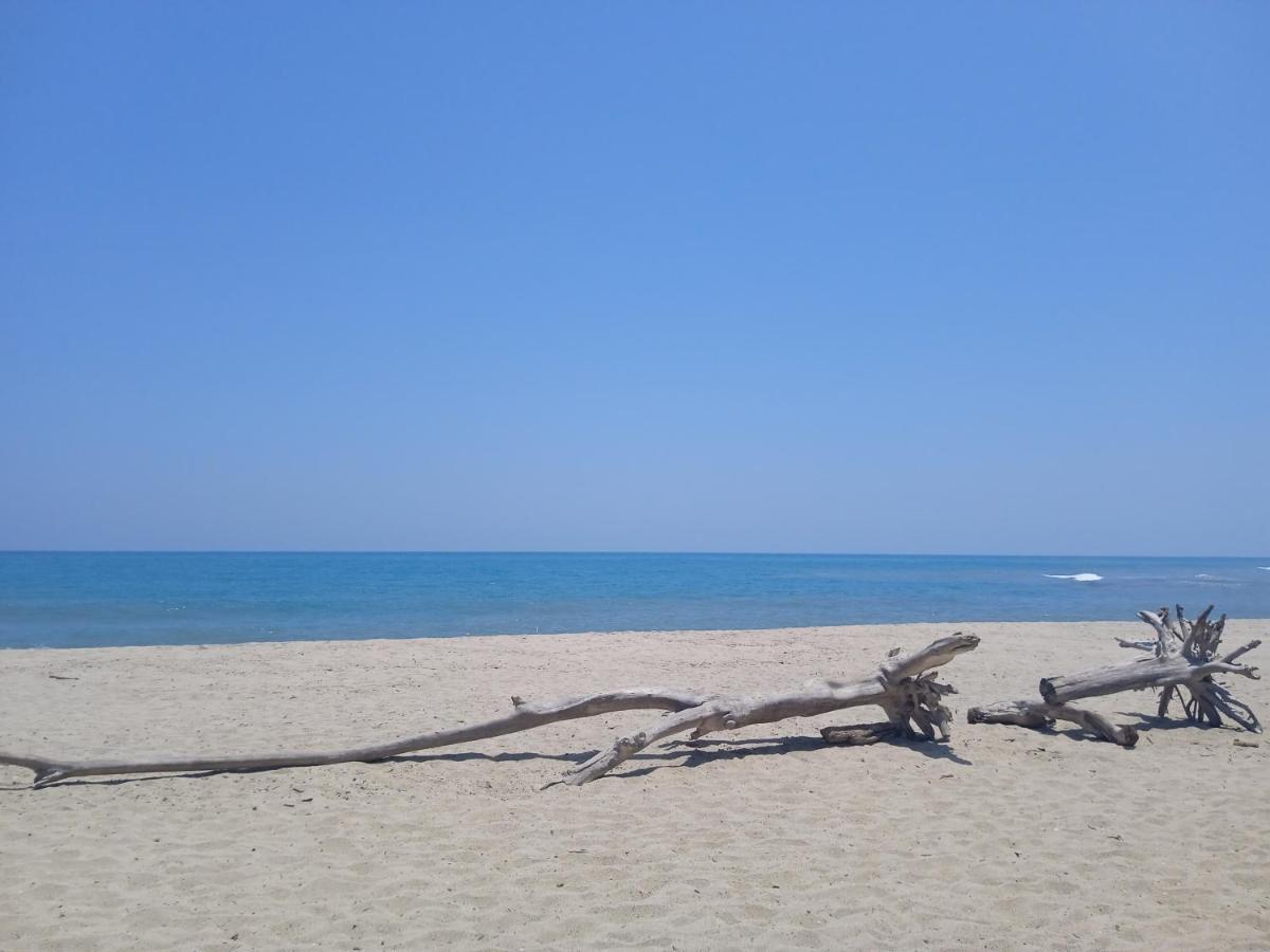 Bob Marley Beach Guachaca Ngoại thất bức ảnh