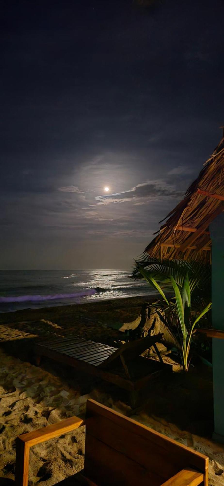 Bob Marley Beach Guachaca Ngoại thất bức ảnh