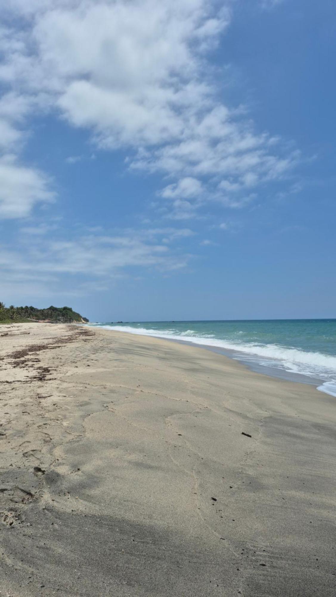 Bob Marley Beach Guachaca Ngoại thất bức ảnh